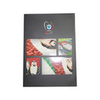 वीआईएफ फ्री नमूना लिमिटेड बटन काम एलसीडी वीडियो व्यापार कार्ड पूर्ण रंग डिजिटल एलसीडी वीडियो मेलर