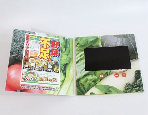 7 Inch HD 1024*600 IPS USB LCD Video Booklet Flyer CE ROHS SGS IPS Approved Full Color Video Brochure Cost Price China