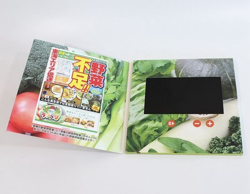 7 Inch HD 1024*600 IPS USB LCD Video Booklet Flyer CE ROHS SGS IPS Approved Full Color Video Brochure Cost Price China