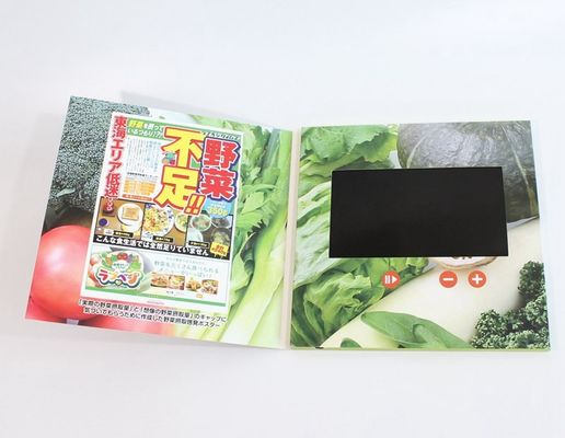 7 Inch HD 1024*600 IPS USB LCD Video Booklet Flyer CE ROHS SGS IPS Approved Full Color Video Brochure Cost Price China